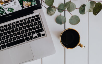 7 raisons d’utiliser le thème divi pour son site wordpress