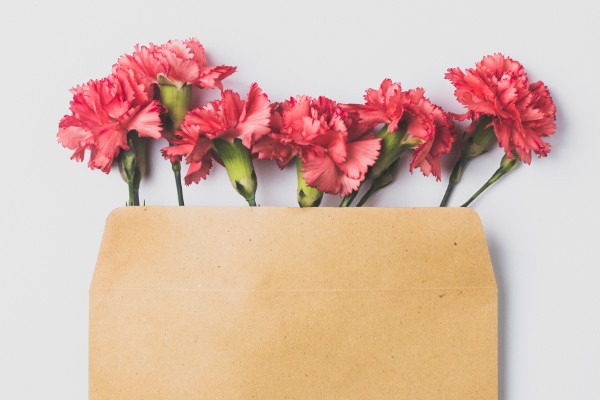 lettre-newsletter-fleurs
