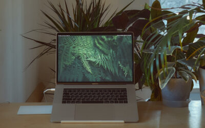 Site web écoresponsable grâce à l’éco-conception de sites internet