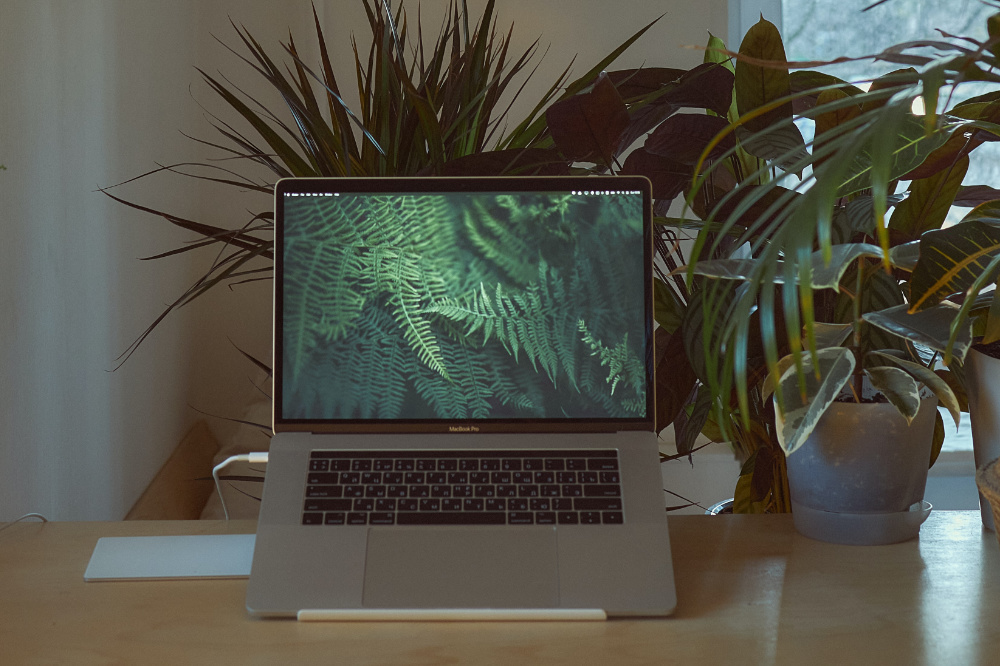 Site web écoresponsable grâce à l’éco-conception de sites internet