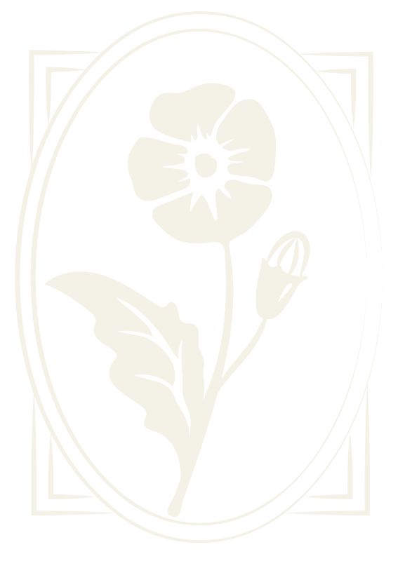 coquillage-symbole-fleur-marierouquette